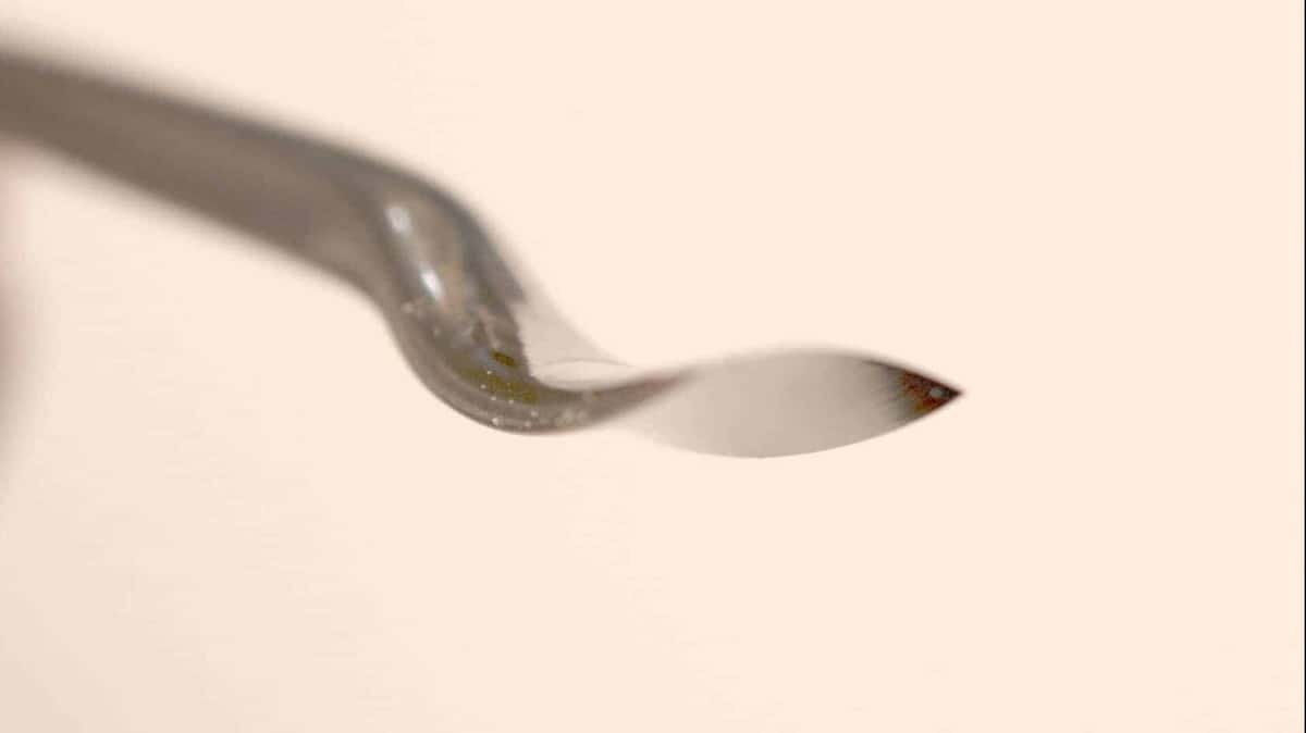 The bevel and edge of a backbent gouge