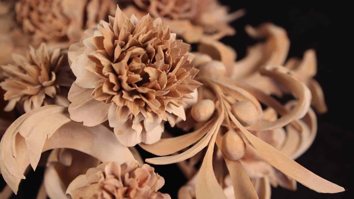 Limewood chrysanthemum petals lit against a black studio backdrop