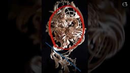 Principles of Design in Wood Carving