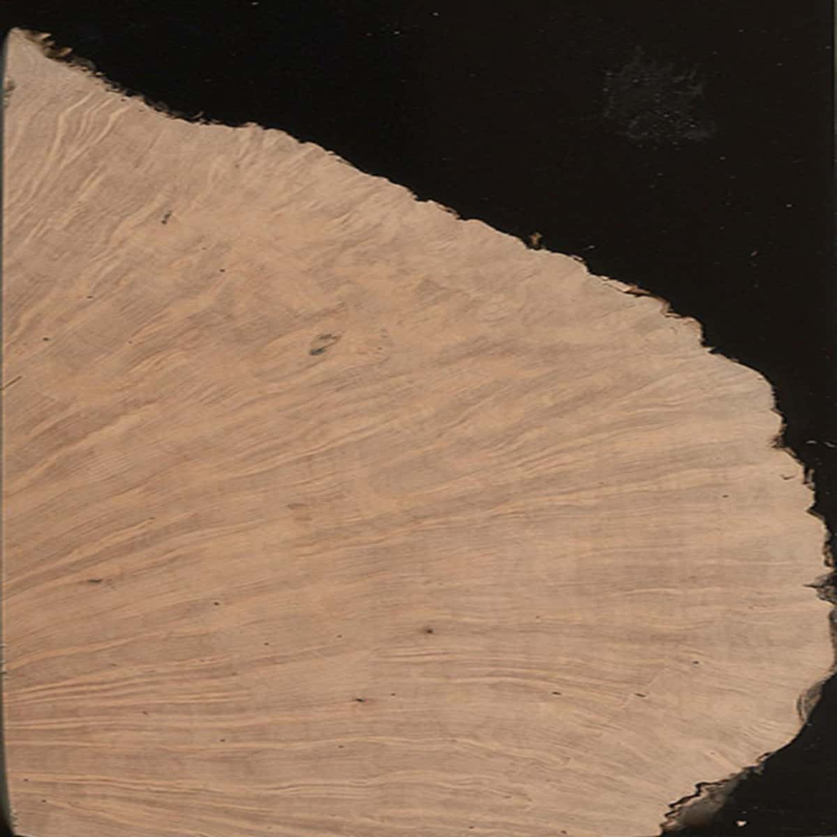 WOODCARVING LESSONS: Woodcarver Grabovetskiy, a man with a beard, holds a sign that says "What wood is the best for carving?" He looks thoughtful. Carving tools are on the table in front of him. - Wood Carving tutorials06779943c26e44b9ad983016ae8a7669