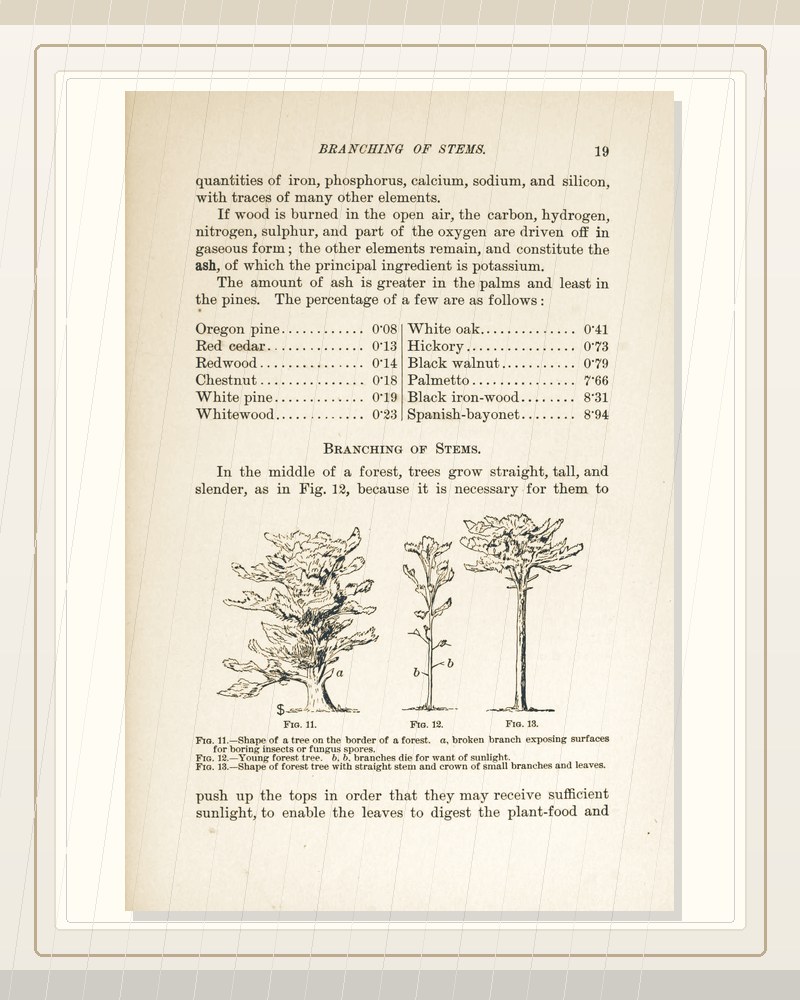 Cover of Exercises in woodworking