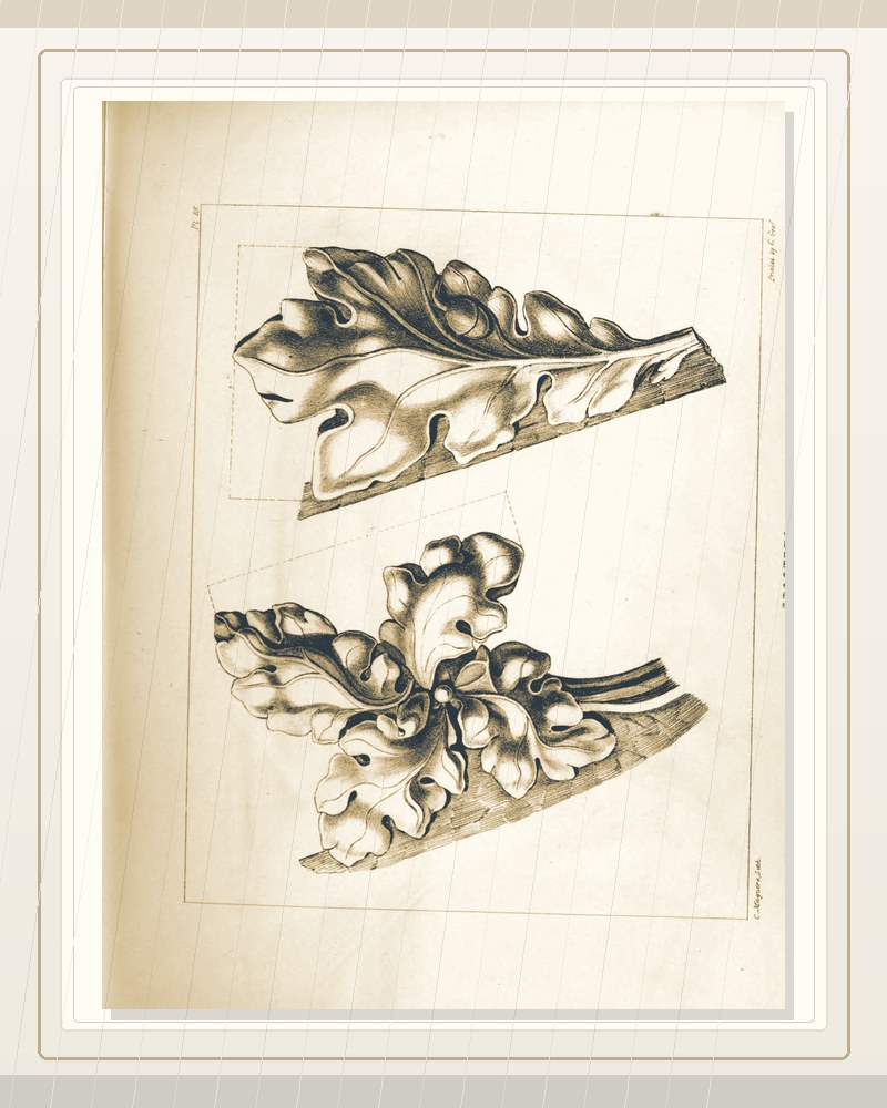 Cover of Gothic ornaments