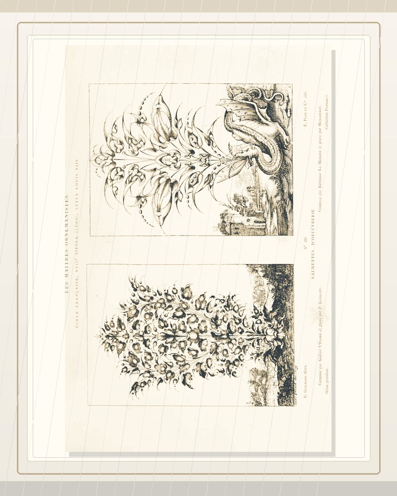 Cover of Les maitres ornemanistes 2 (Planches)