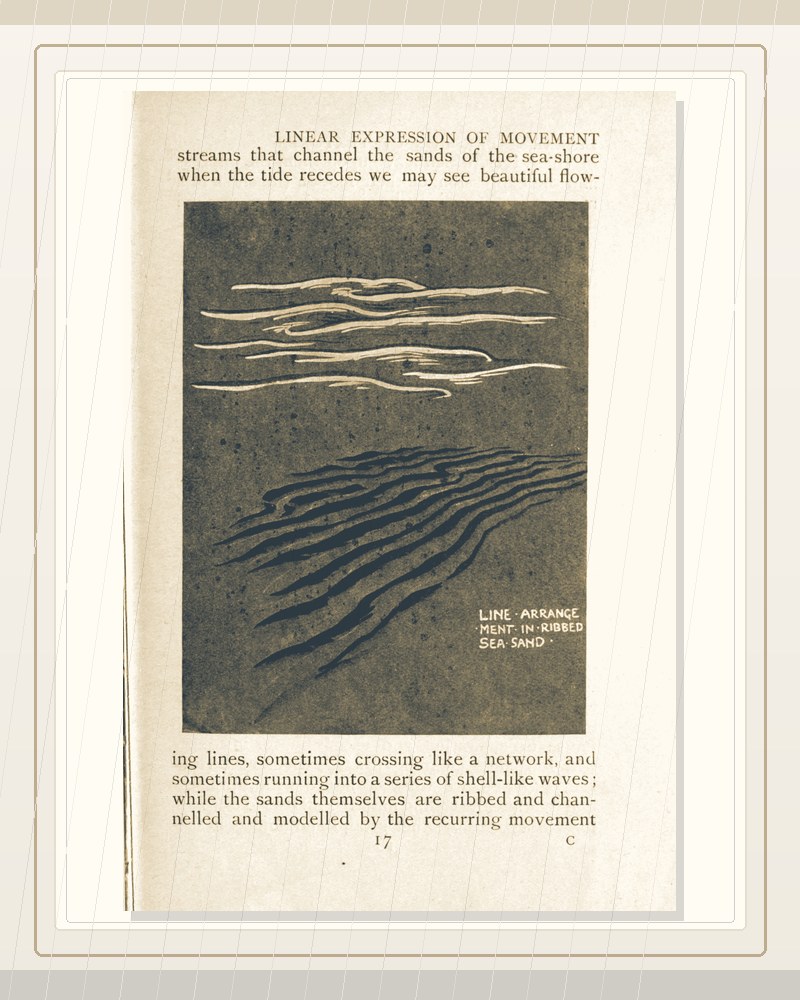Cover of Line & Form