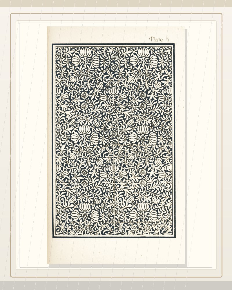 Cover of The Anatomy of pattern