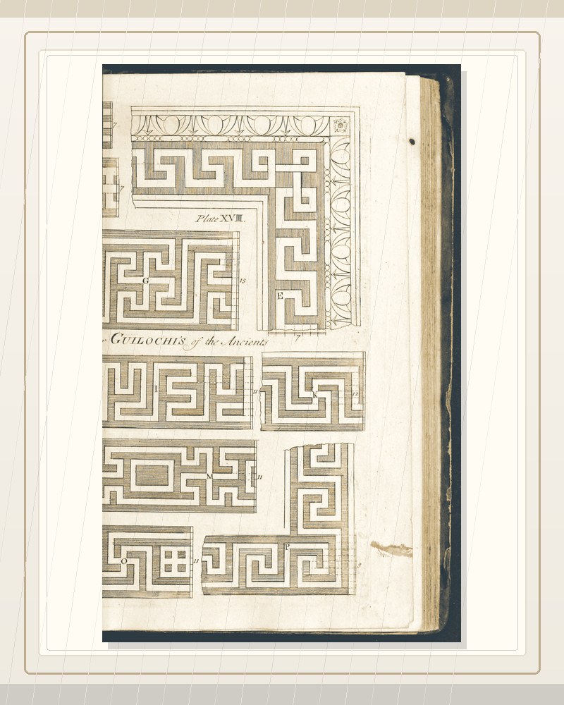 Cover of The builder's complete assistant V2