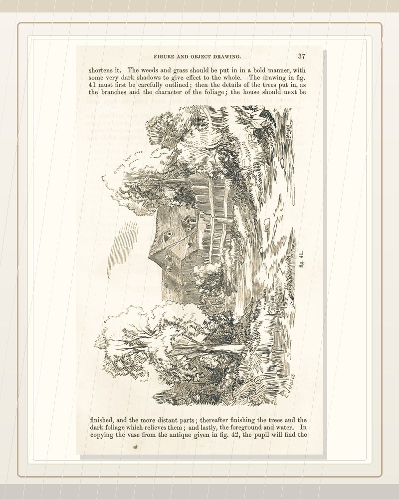 Cover of The illustrated London drawing book