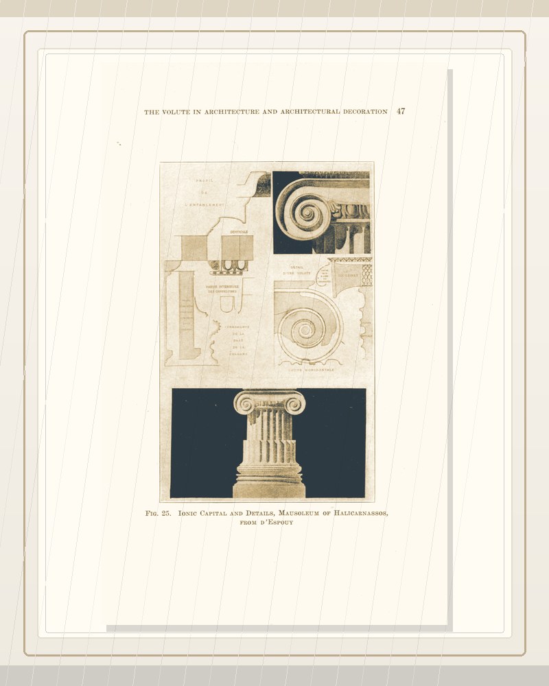 Cover of The volute in architecture and architectural decoration